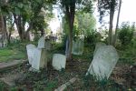 PICTURES/London - Kensal Green Cemetery and Catacombs/t_DSC03384.JPG